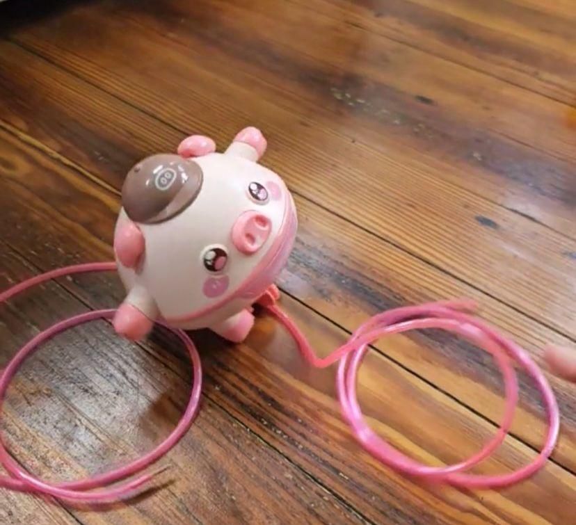 Tumbler Pig Walking Tightrope for Children